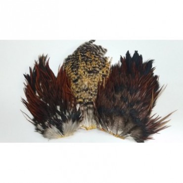 INDIA ROOSTER SADDLE PATCH