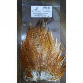 INDIA ROOSTER SADDLE PATCH