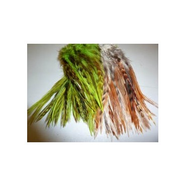 STRUNG VARIANT SADDLE