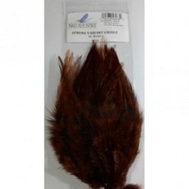 STRUNG VARIANT SADDLE