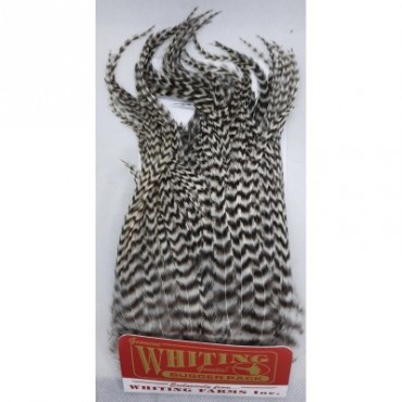 WHITING BUGGER PACK GRIZZLY