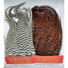 WHITING BUGGER PACK GRIZZLY