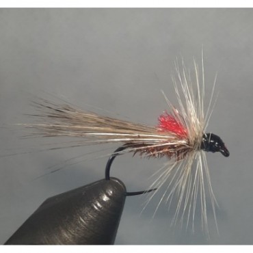 TRICÓPTERO COQ DE LEÓN