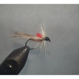 TRICÓPTERO COQ DE LEÓN