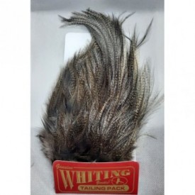 COQ DE LEON TAILYN PACK