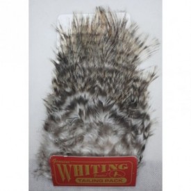 COQ DE LEON TAILYN PACK