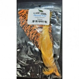 GOLDEN PHEASANT NECKS CASCADE