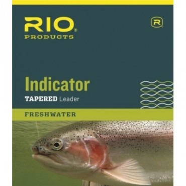 INDICATOR LEADER 10'